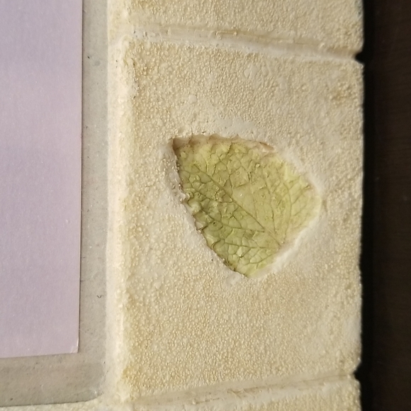 Frame•ology by Mint Impressions 4x6 Frame - Picture 11 of 16